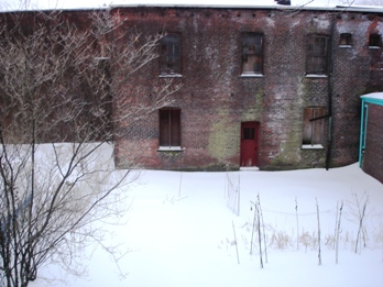 Winter Urban Garden: Reggie Solomon Winter Urban Garden: Reggie Solomon