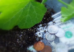gardening budget