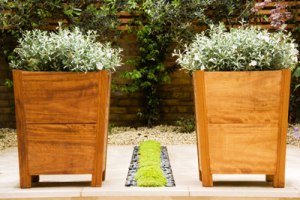 Plant Container