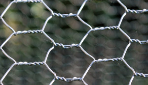 Photo Credit: Chicken wire by Cyberslayer used under CC BY-NC-SA 2.0