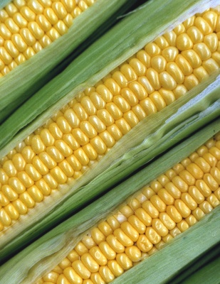 corn