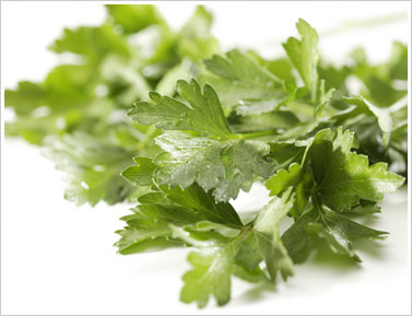 parsley1