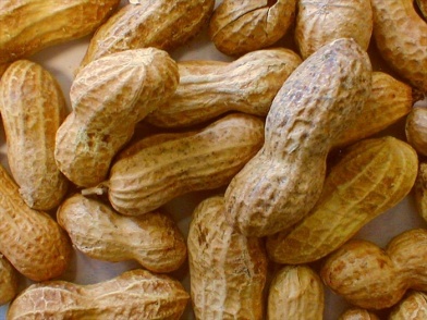 peanut