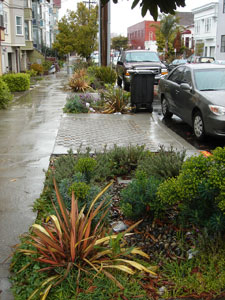 sidewalk-garden