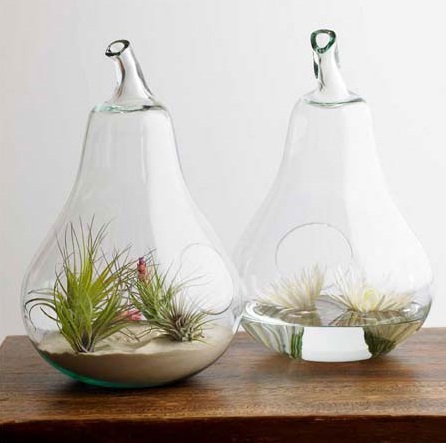 terranium