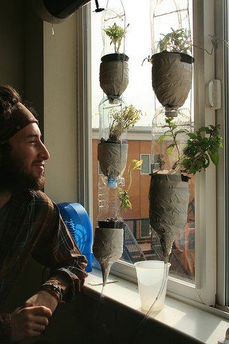 windowfarm